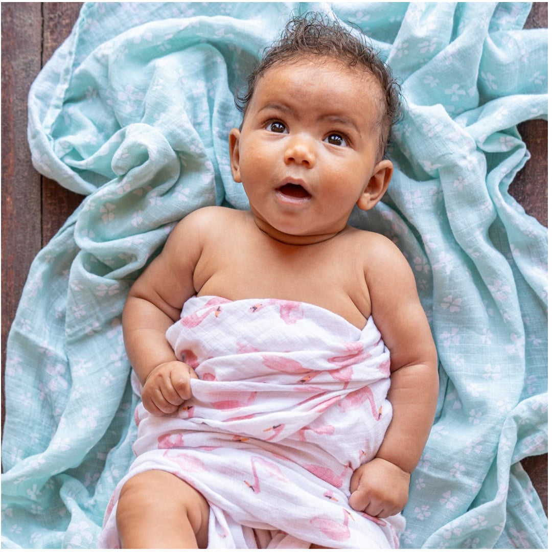 Aden + Anais - 4 Pk Muslin Swaddles, Briar Rose