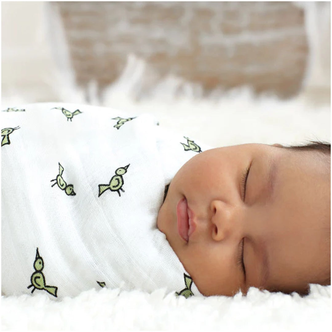 Aden + Anais - 4Pk Muslin Swaddles, Jungle Jam Classic