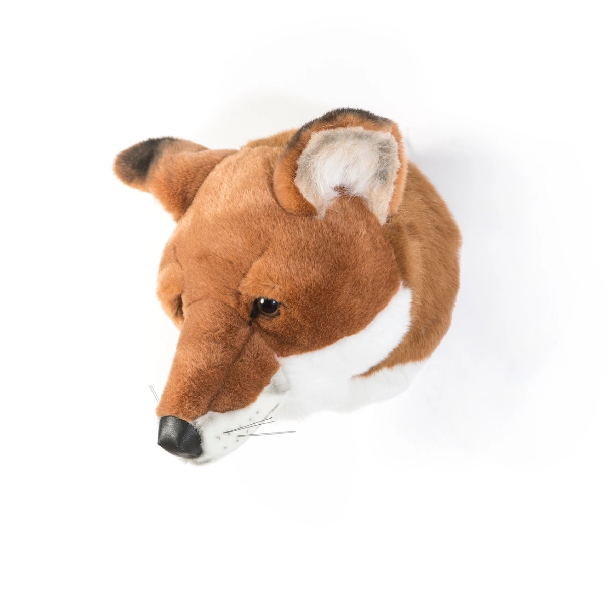 Louis The Fox Soft Plush Wall Decoration
