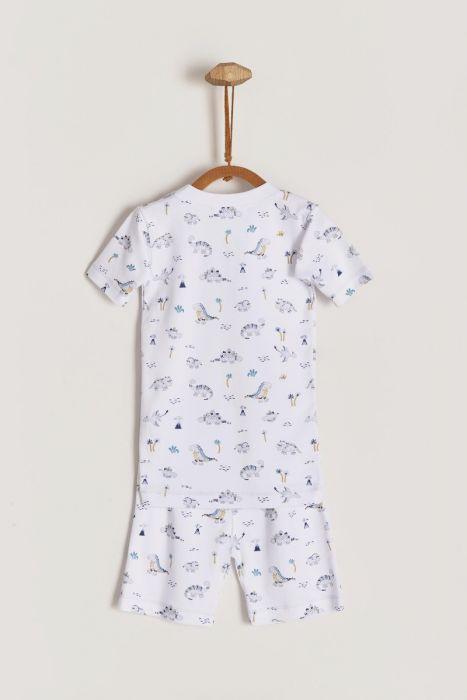 Dino's Art Boy Short Sug Fit Pajama Set