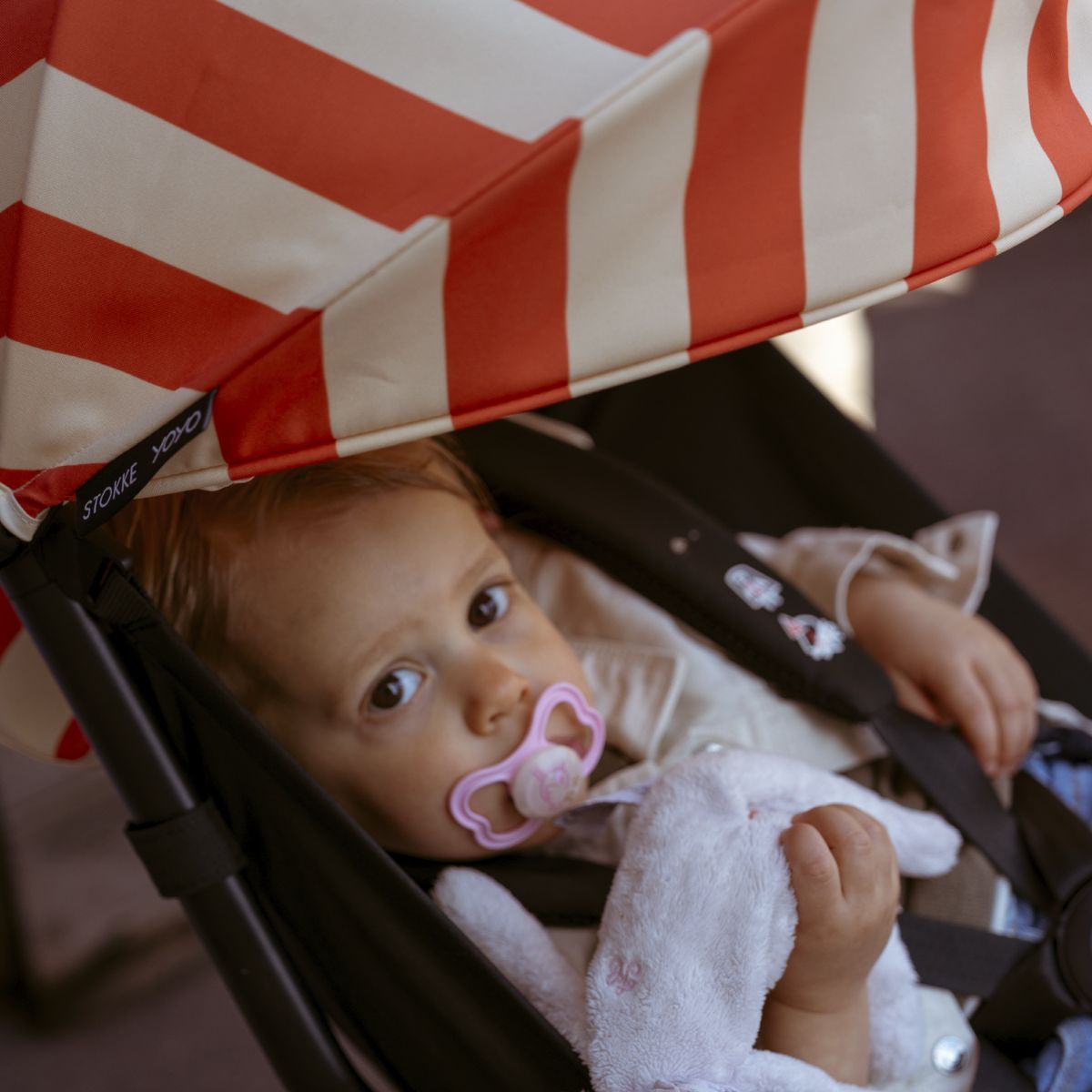 Stokke YOYO³ 6+ color pack - Capri on Luna Baby Store Miami