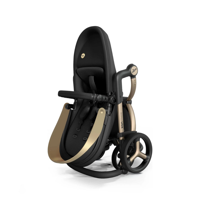 Xari Max Black & Gold Special Edition