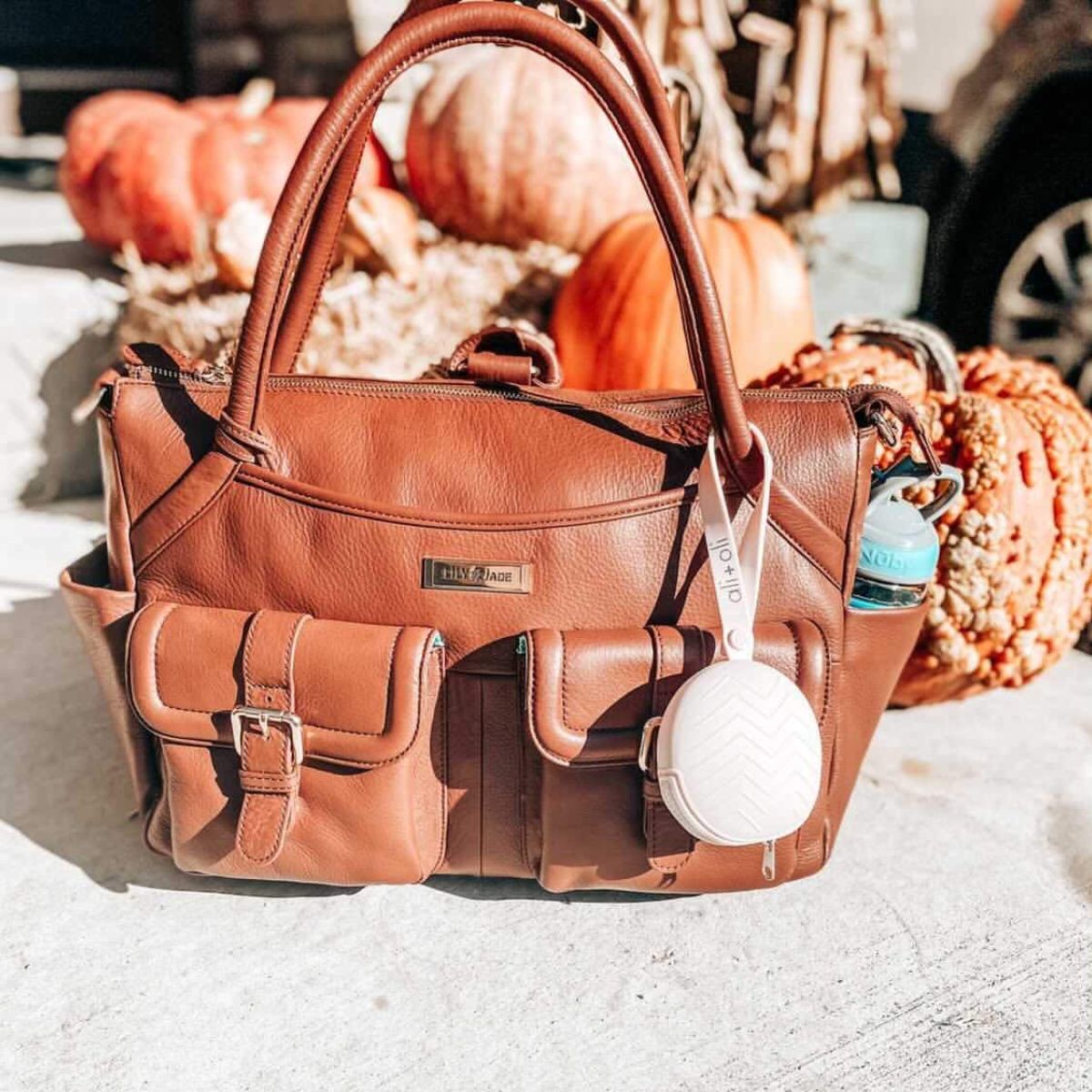 Compact, Travel-Ready Design