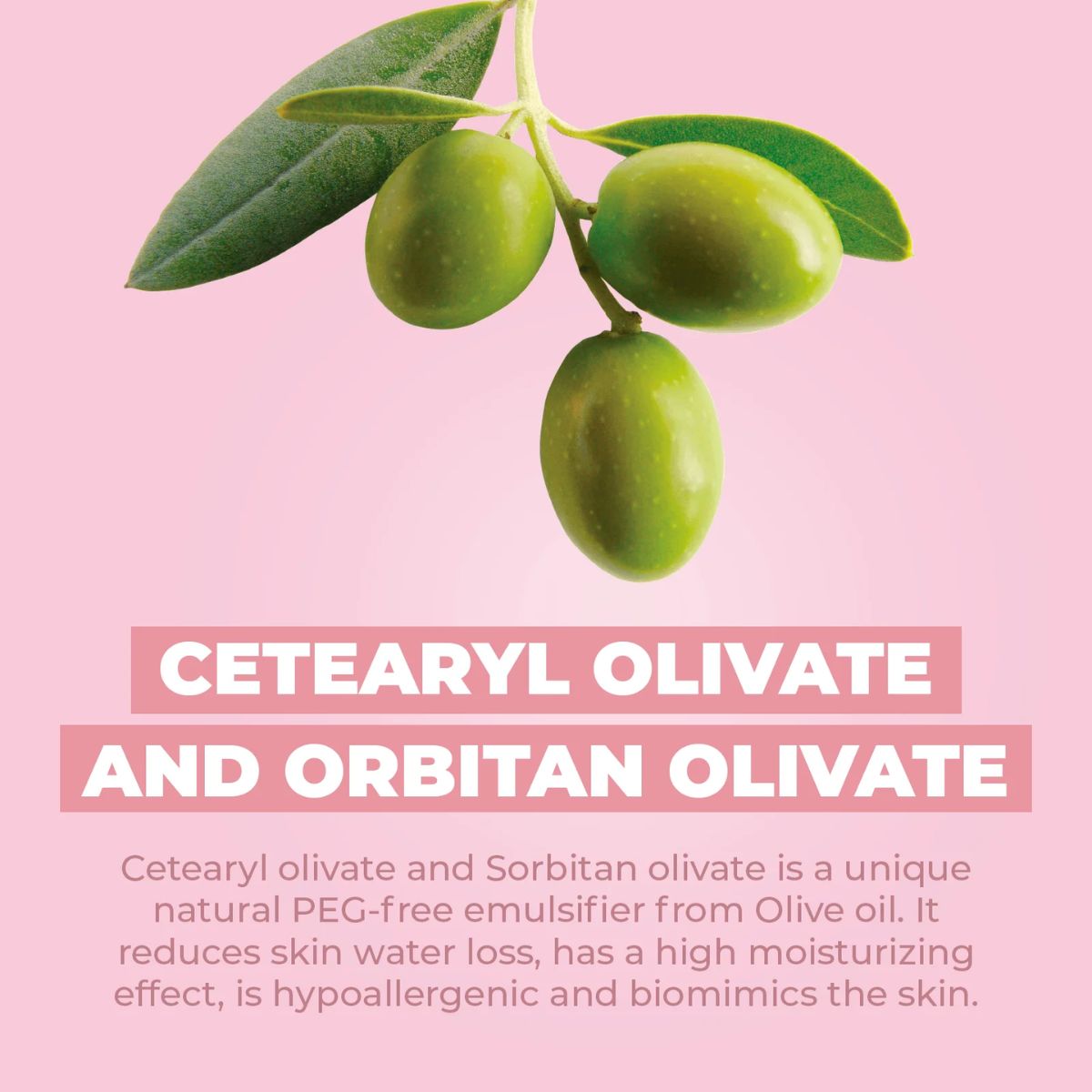 Baby Jolie Body Lotion 11 Oz