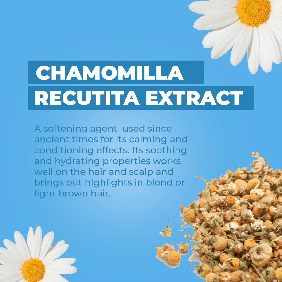 Baby Jolie Tear Free Baby Shampoo 7.5 Oz