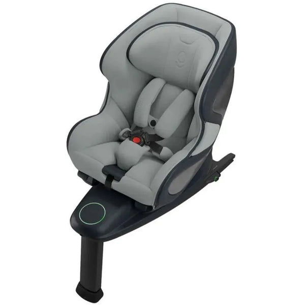 Babyark Convertible Car Seat Charcoal Grey - Glacier Ice