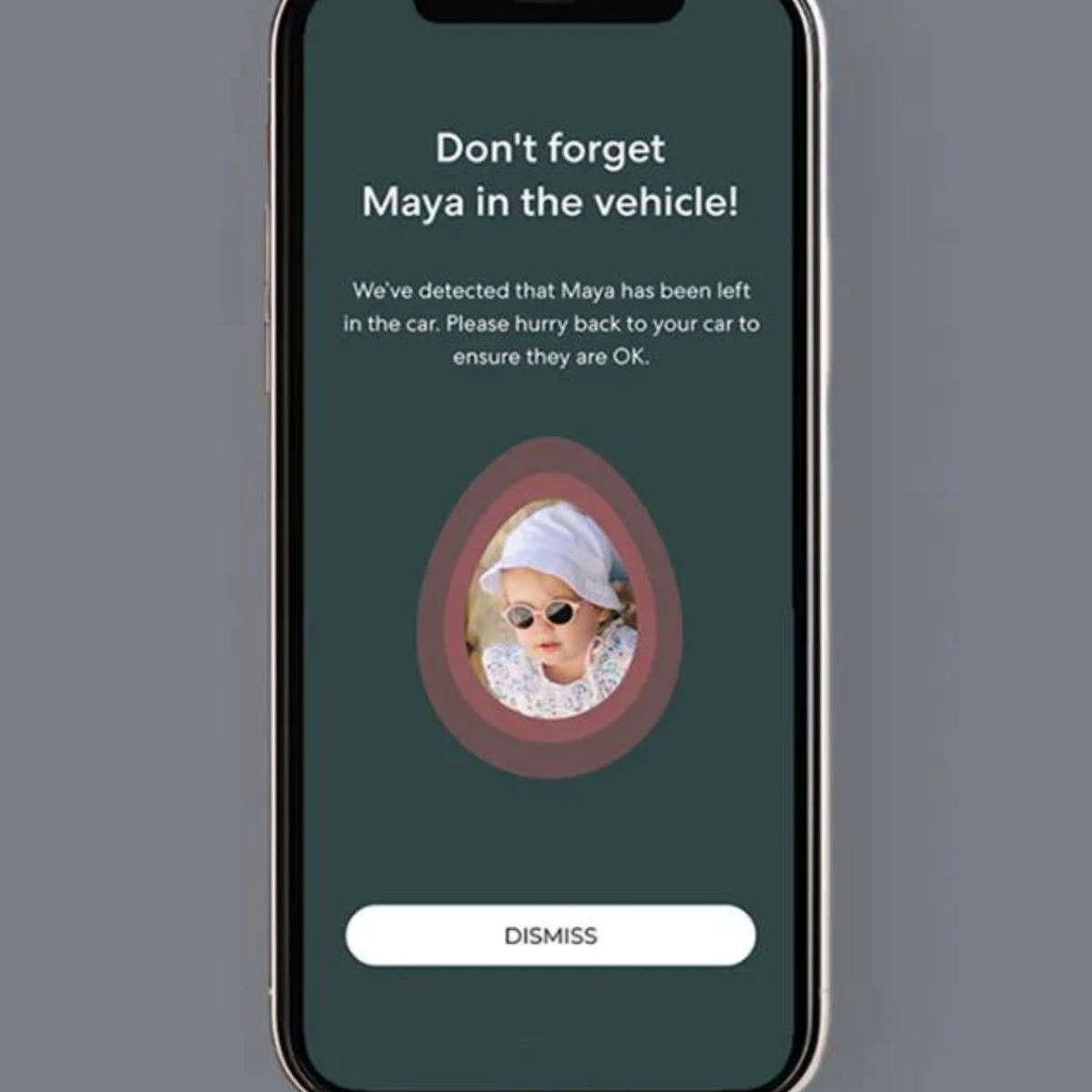 Babyark Smart Convertible Car Seat Eggshell - White / Glacier Ice