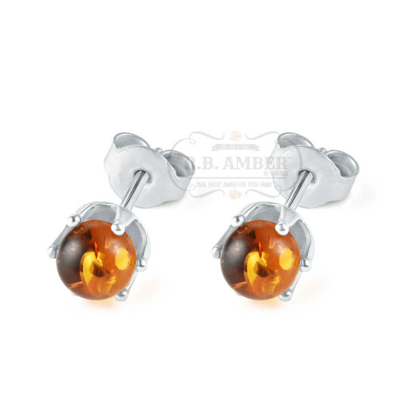 R.B Amber Baltic Stud Earrings Honey