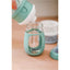 Beaba Formula Snack Container - Sage