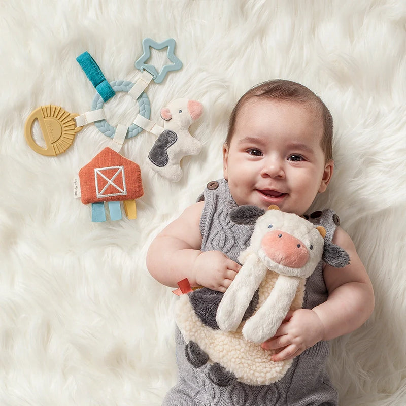 Bitzy Busy Ring Teething Activity Toy - Farm