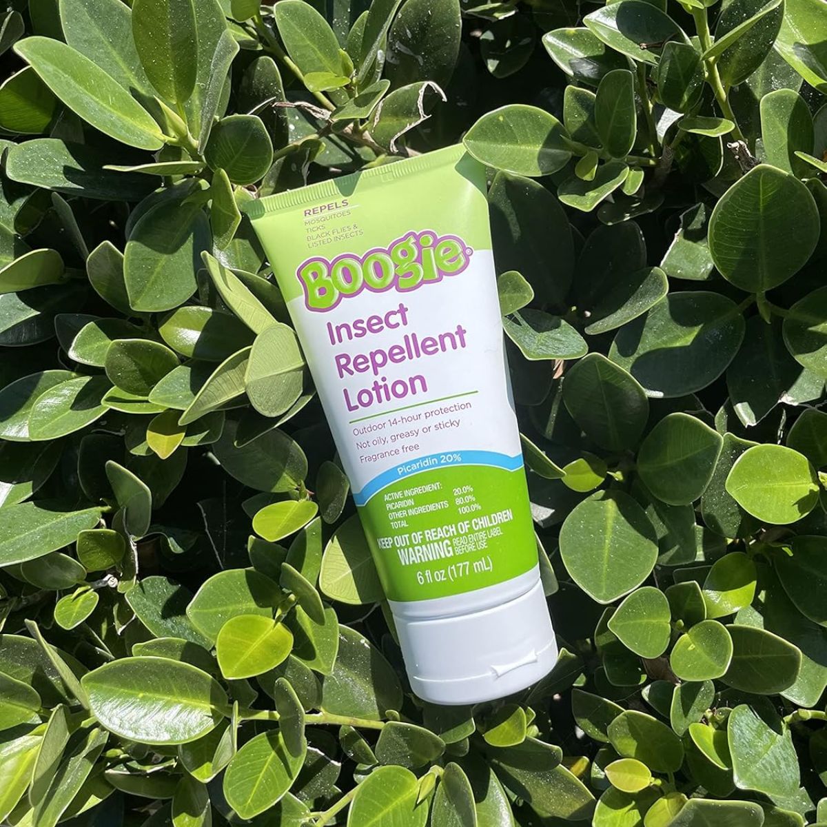Boogie Insect Repellent Lotion with 20% Picaridin(Unscented) - 6.0 oz on Luna Baby Store Miami