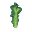 Oli & Carol Teether - Kendall the Kale on Luna Baby Store Miami