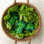 Oli & Carol Teether - Kendall the Kale on Luna Baby Store Miami