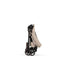 CYBEX MIOS Seat Pack - Style Collection Cozy Beige on Luna Baby Store Miami