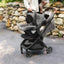UPPAbaby Minu V3 Compact Stroller - Greyson (Charcoal Melange / Carbon Frame / Saddle Leather)