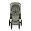 Cybex Priam/e-Priam Seat Pack Style Collection Sage Green on Luna Baby Store Miami