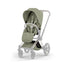 Cybex Priam/e-Priam Seat Pack Style Collection Sage Green on Luna Baby Store Miami