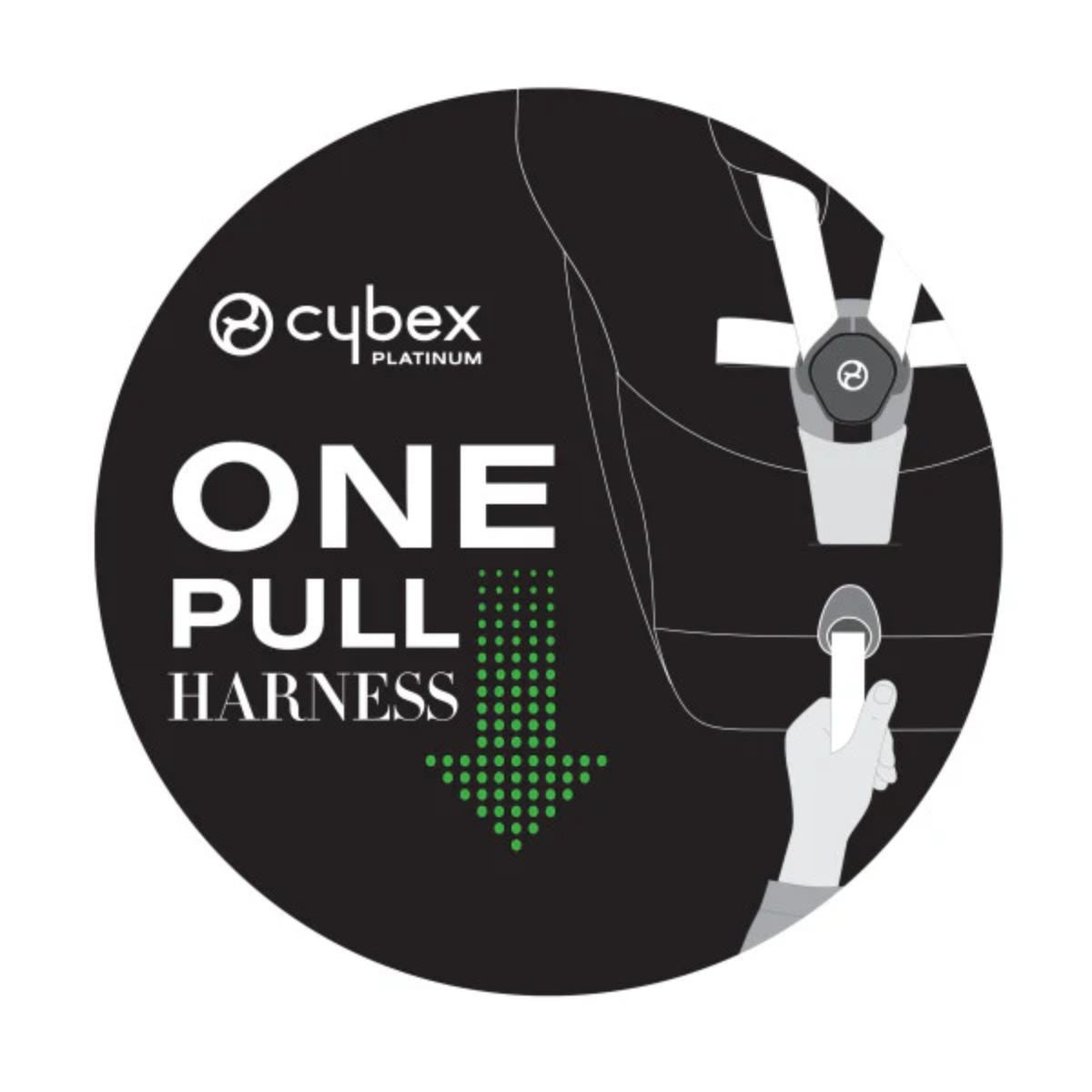 Cybex Priam 4 Complete Stroller Rose Gold - Spring Blossom Dark