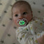 Dr. Brown’s Advantage Glow-in-the-Dark Pacifiers 6-18M Pack of 2 Purple Nature on Luna Baby Store Miami