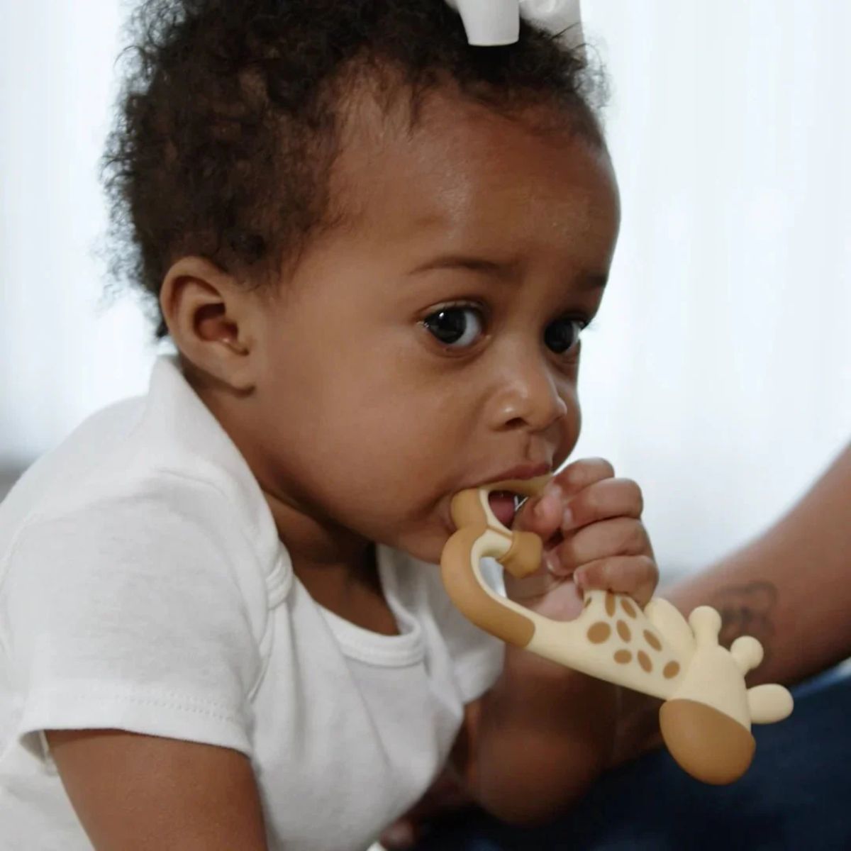 Dr. Brown's Ridgees Giaffe Massaging Teether