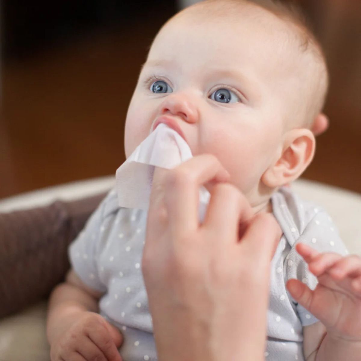 Dr. Brown's Tooth and Gum Wipes on Luna Baby Store Miami