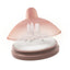 Emulait Baby Bottle Nipples 2-Pack - Light, Shape 4 on Luna Baby Store Miami