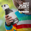 Asobu - Stainless Steel Bottle Silicone Head Panda