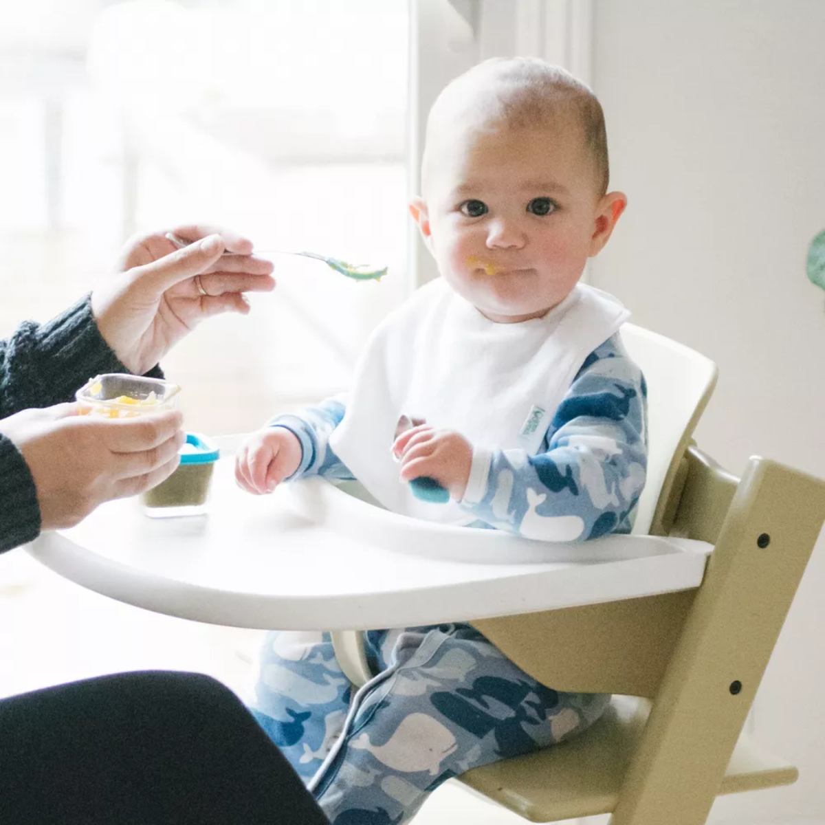 Green Sprouts Stay-Dry Everyday Bibs 10 pack - White Set