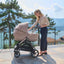 Inglesina Aptica Stroller & Bassinet + Stand - Velvet Grey on Luna Baby Store Miami