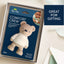 Itzy Ritzy Comfort Chew Natural Rubber Baby Teether & Toy - Bear