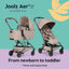 Joolz Aer² Cot - Hazel Brown on Luna Baby Store Miami