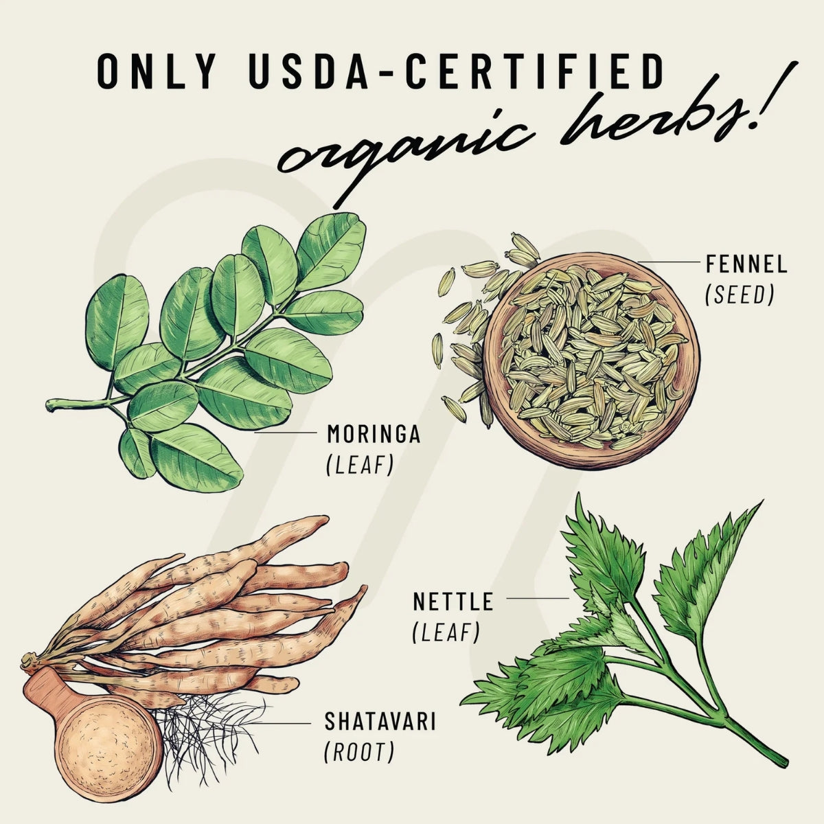 Legendairy Milk Milkapalooza Lactation Vegan Supplement 60 Caps