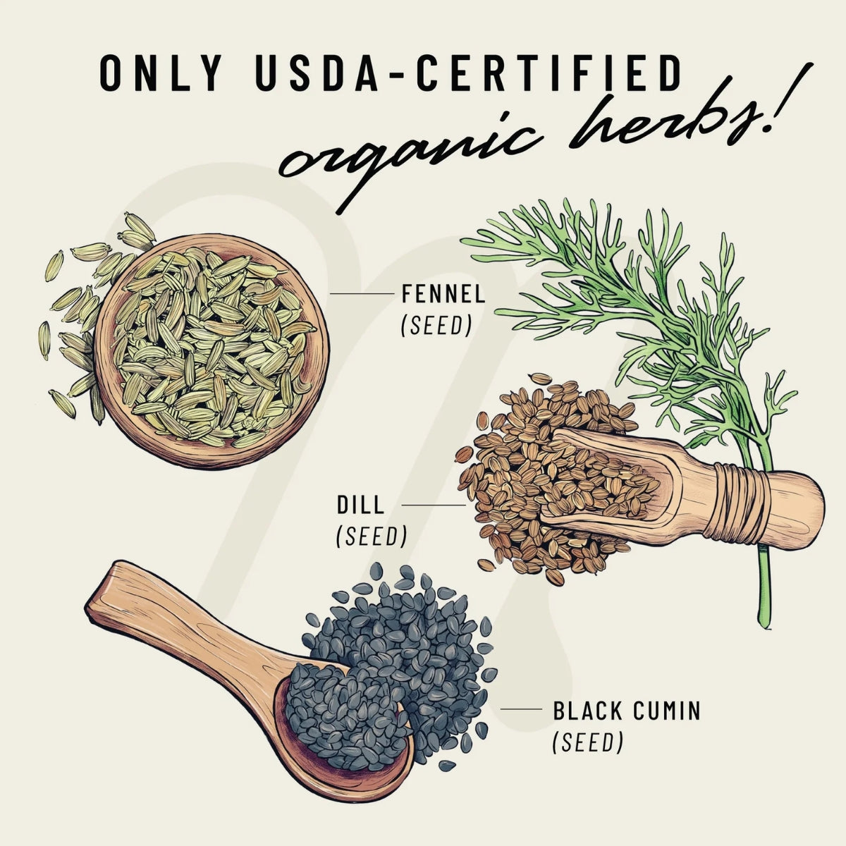 Fenugreek-Free & Digestive Support