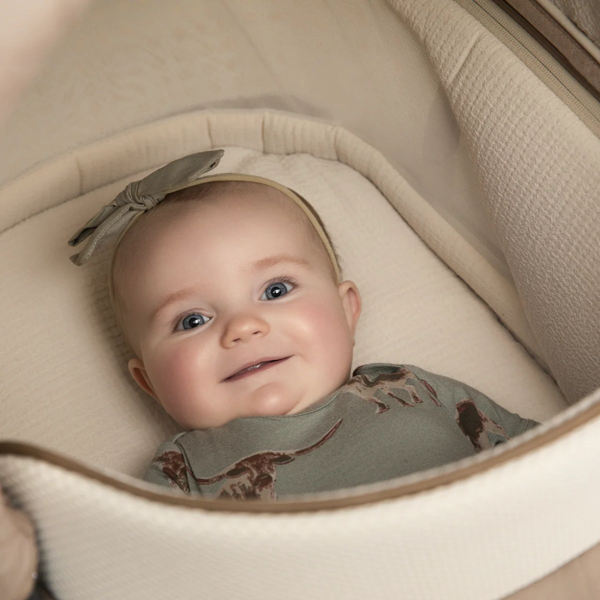 Maxi-Cosi Carriage Accessory - Natural Heritage