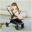 Mima Flo Baby Cooling Seat Liner - Donut Beige on Luna Baby Store Miami