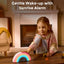 Momcozy Sound Machine with Dynamic Lights and App Control - Rainbow Light