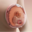 Momcozy Wellness 1 Warm-Massage Wearable Breast Pump on Luna Baby Store Miami