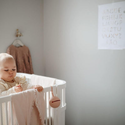 Mushie Silicone Pacifier Holder Case - Blush