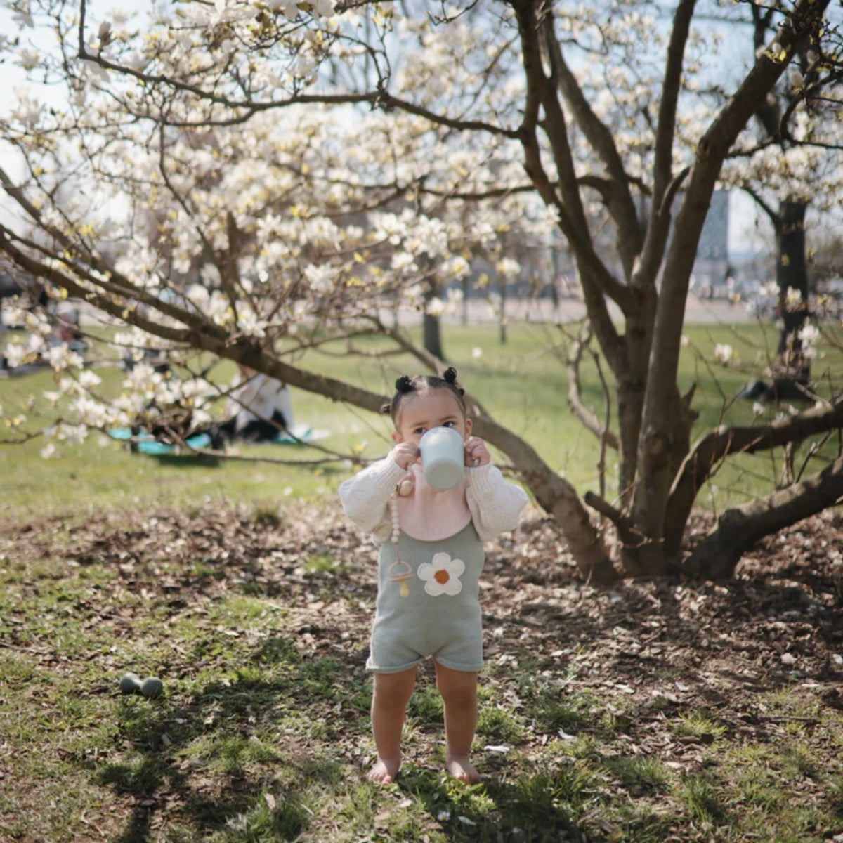 Mushie Trainer Sippy Cup - Sage