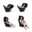 Nuna EXEC Next All-In-One Convertible Car Seat - Caviar/Chocolate on Luna Baby Store Miami