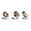 Nuna LEAF grow Baby to Big Kid Seat - Teddy