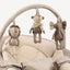 Nuna LEAF grow Baby to Big Kid Seat - Teddy
