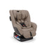 Nuna Rava Next Convertible Car Seat - Cedar on Luna Baby Store Miami