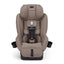 Nuna Rava Next Convertible Car Seat - Cedar on Luna Baby Store Miami