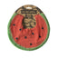 Oli & Carol Baby Bib -  Wally The Watermelon on Luna Baby Store Miami