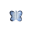 Olí & Carol Mini Teether - Blue The Butterfly