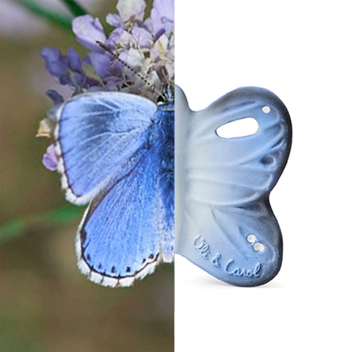 Olí & Carol Mini Teether - Blue The Butterfly