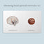 Our Little Library: A Foundational Language Vocabulary Board Book Set for Babies Vol 3 on Luna Baby Store Miami