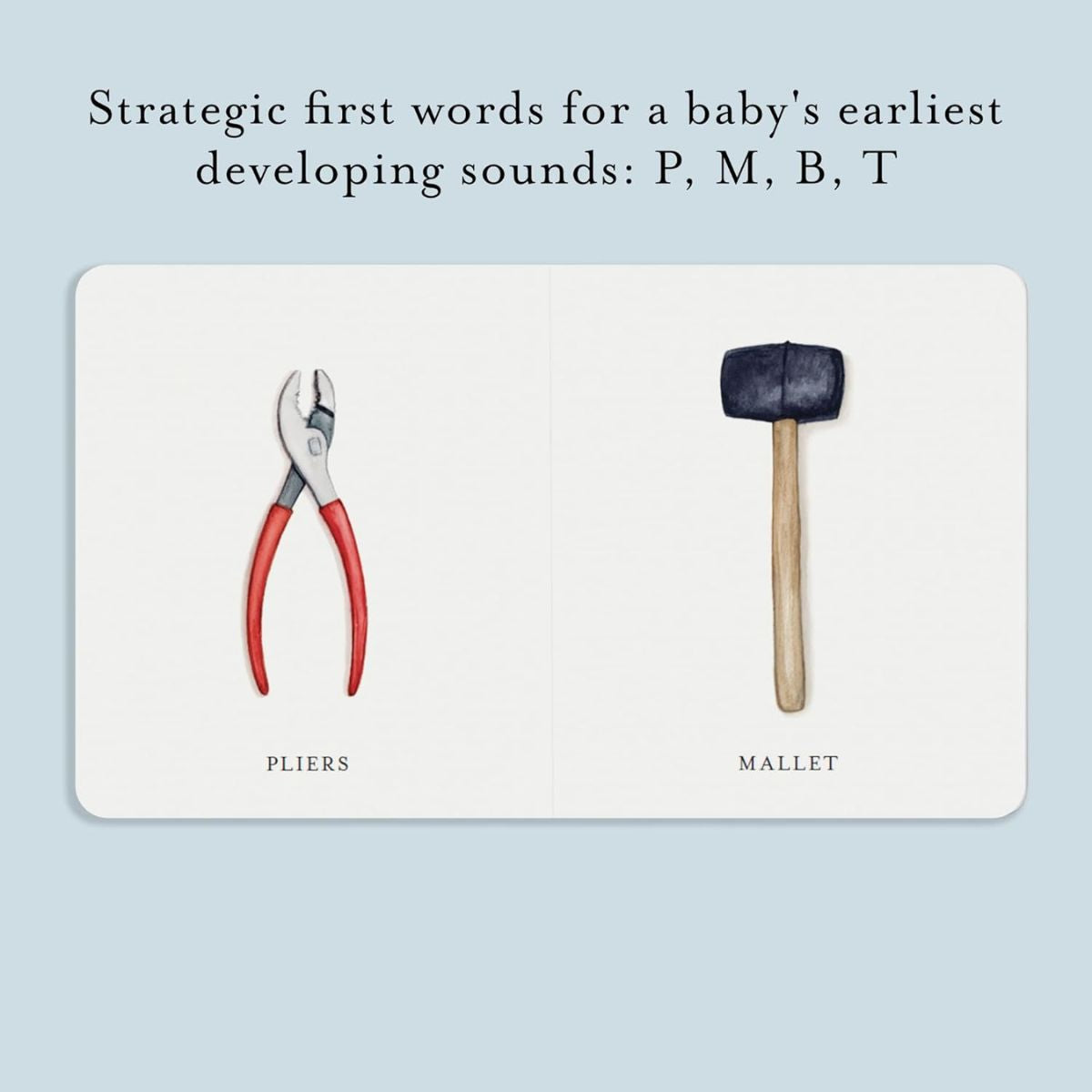 Our Little Library: A Foundational Language Vocabulary Board Book Set for Babies Vol 3