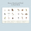 Our Little Library: A Foundational Language Vocabulary Board Book Set for Babies Vol 3 on Luna Baby Store Miami